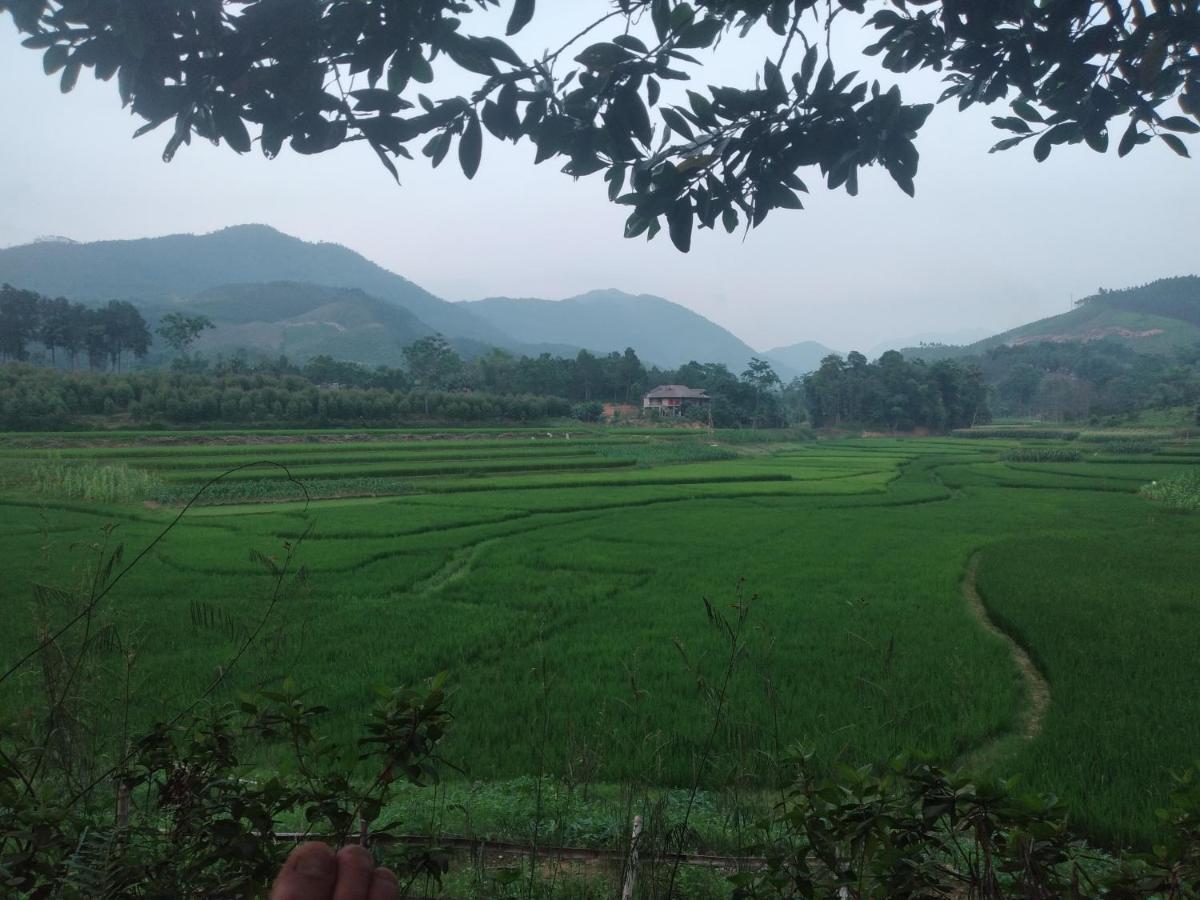 Giangtien Homestay-Vulinh Farmstay-Bungalow Yen Binh Eksteriør bilde